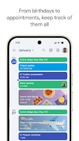 Google Calendar App Screenshot