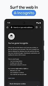 Google Chrome app screenshot