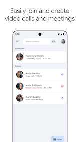 Google Meet App Screenshot