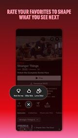 Netflix App Screenshot