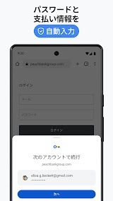 Google Chrome App Screenshot