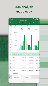 Microsoft Excel App Screenshot