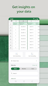 Microsoft Excel App Screenshot